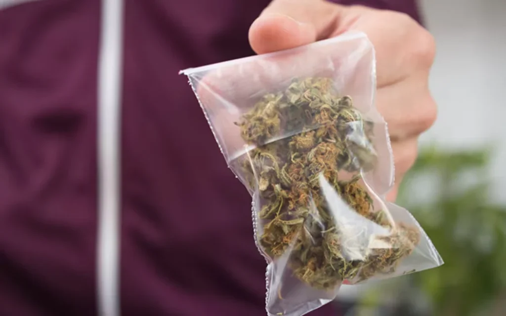 Đảng Xanh Mở Cổng Lấy Ý Kiến, Thúc Đẩy Điều Chỉnh Luật Cần Sa 1 Bag of cannabis