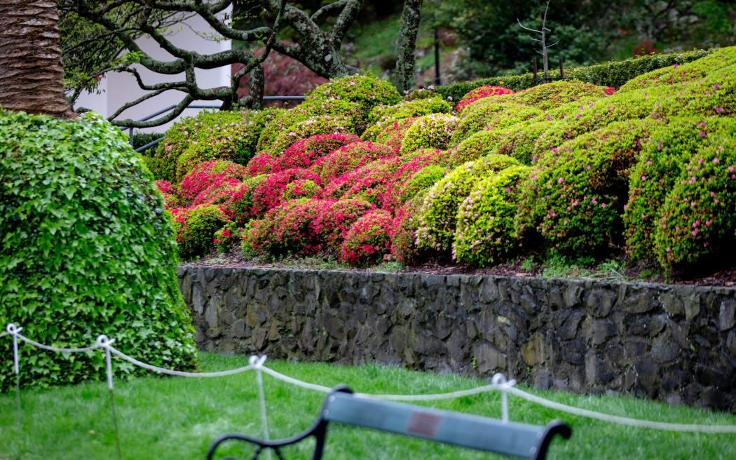 What goes into the planning for Wellington Botanic Garden