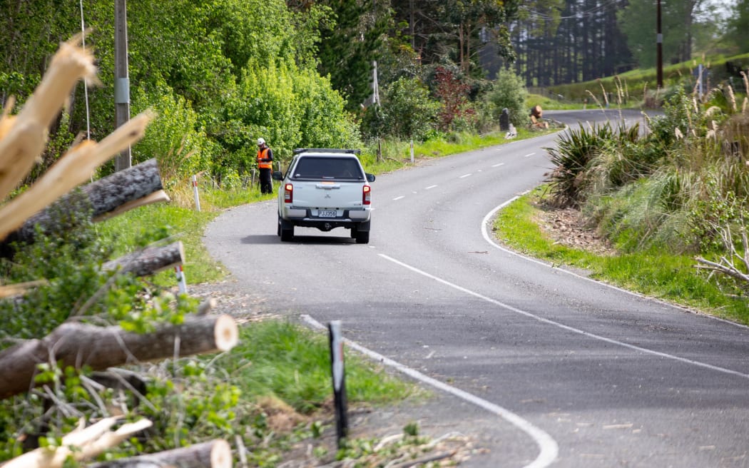 Bão càn quét Wairarapa: Cây đổ đè chết cừu, hàng loạt trang trại mất điện 2 Power lines down in Riversdale in Wairarapa