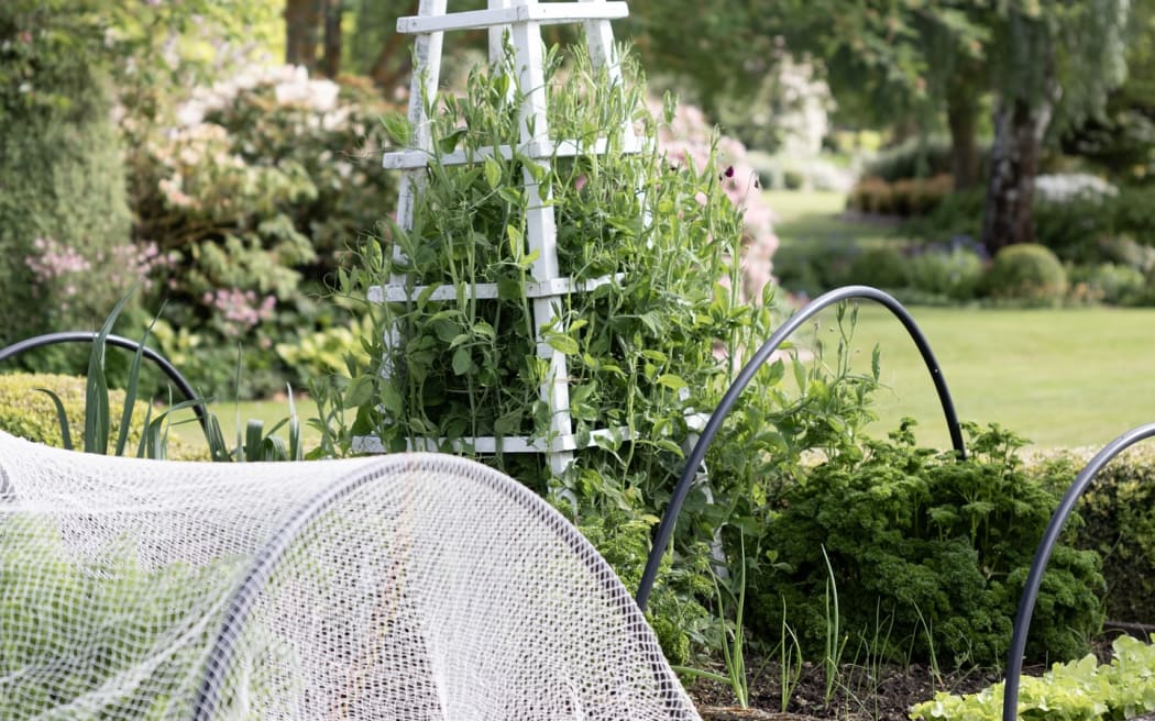 The Hurunui Garden Festival is going ahead after a big clean up after last week's storm.