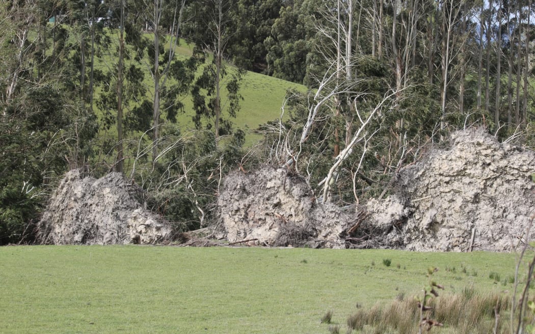 One week since a wind storm tore through the country's south, some Clutha district farmers say the financial hit could be harsher than they originally feared.