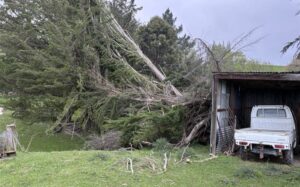 Storm damage in Clutha's rural Kakapuaka,