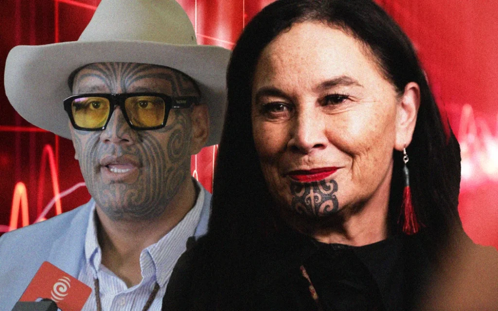 Te Pāti Māori: Bão tố nội bộ và những rạn nứt khó hàn gắn 1 MAORI PARTY GFX 2