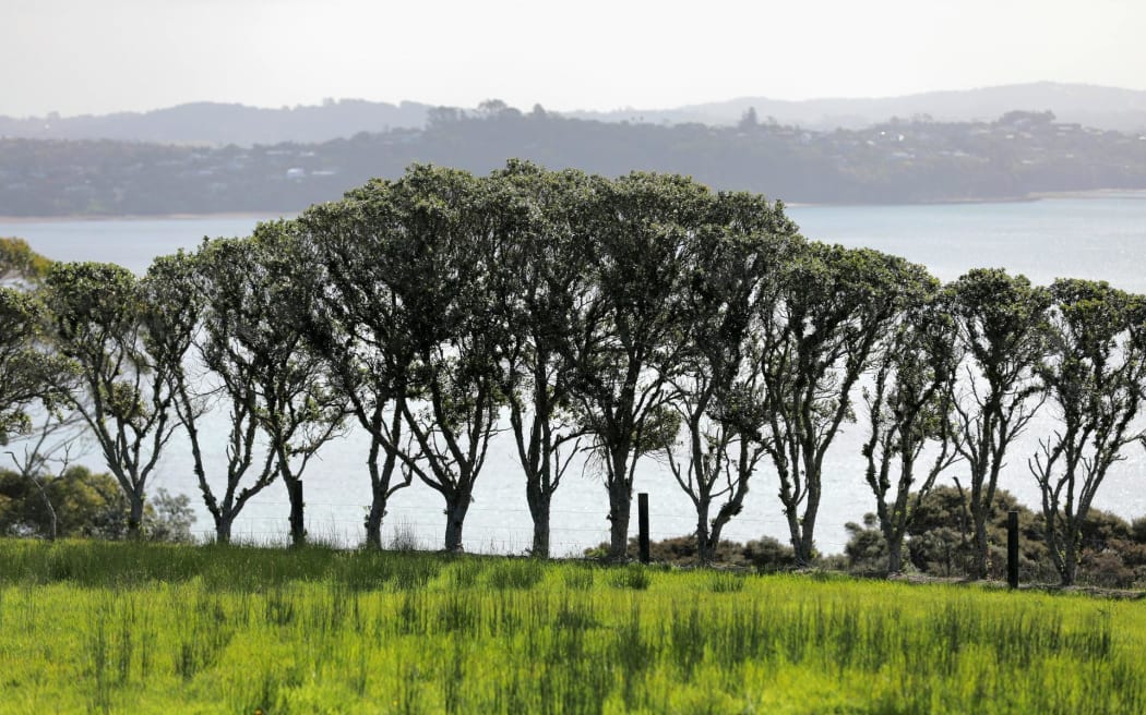 Phe đối lập cam kết hủy bỏ luật quyền biển và ven bờ sửa đổi 2 Tindalls Beach in Whangaparaoa.