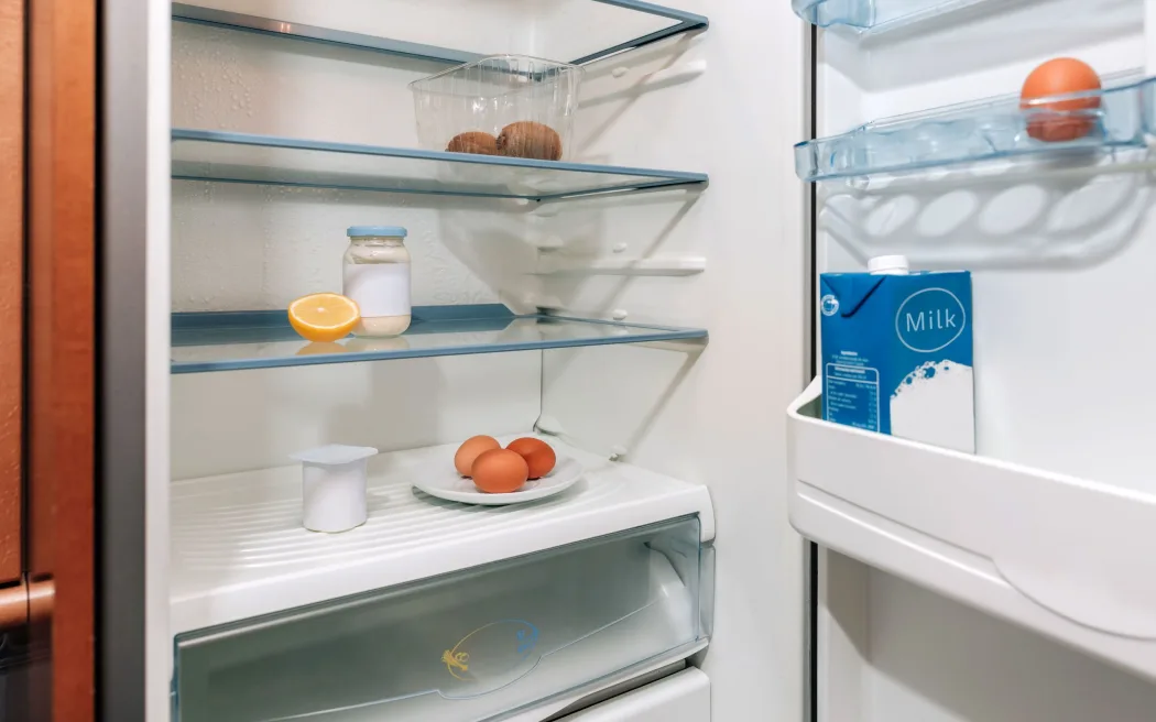 Fridge interior almost empty due to economic crisis