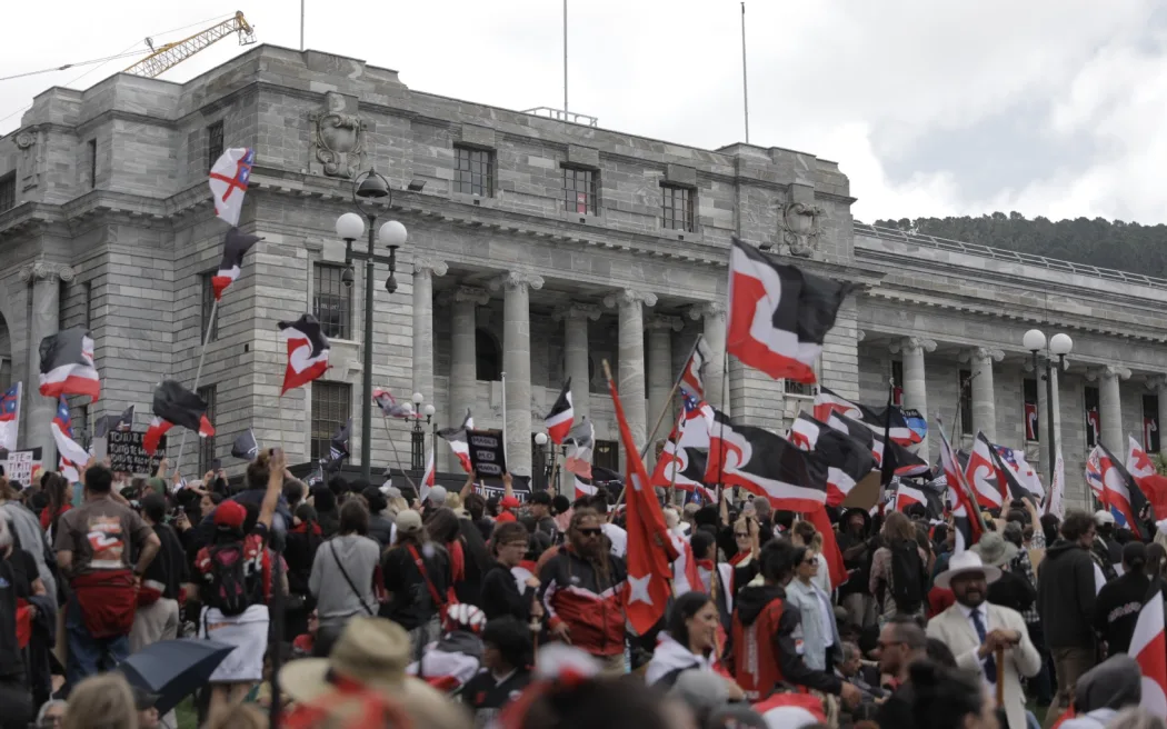 The hīkoi protesting against the Treaty Principles Bill in Wellington on 19 November 2024.