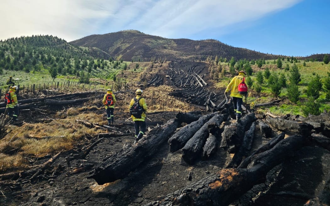 Cư dân Pōrangahau kêu gọi sửa luật lâm nghiệp sau vụ cháy lớn 4 A huge forestry fire near the Central Hawke's Bay village of Pōrangahau last week took days to extinguish.