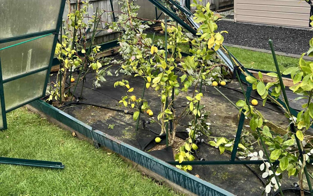 Bão 'hung hãn' càn quét Invercargill: Nhà kính tan tành, mái nhà tốc bay 91 tim mackay said luckily his glasshouse w Bão 'hung hãn' càn quét Invercargill: Nhà kính tan tành, mái nhà tốc bay