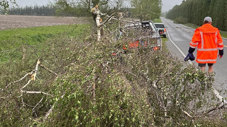 Hình ảnh: Gió lớn càn quét New Zealand, cây đổ, xe tải lật nghiêng 8 Trees being cleared from a highway in Mid Canterbury