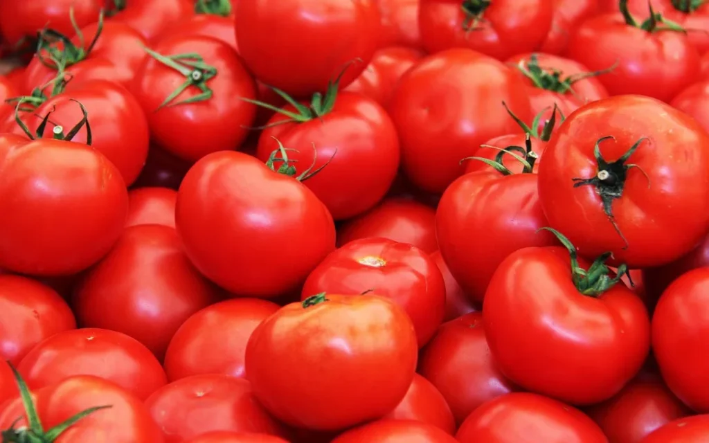tomatoes