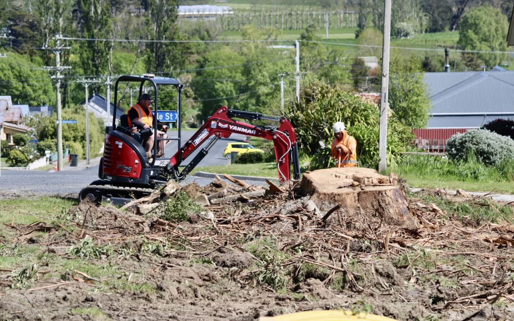 Bão lớn hoành hành, hàng ngàn hộ dân New Zealand mất điện sang tuần thứ hai 4 What is left of the tree that fell on Robyn Hale's home, after severe spring storms, in October, 2025.