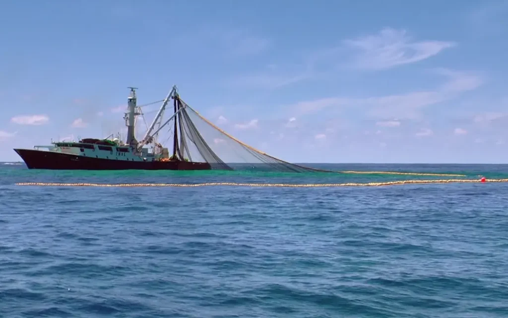 Commercial fishing in the Hauraki Gulf
