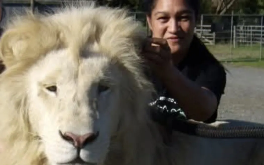 Former park manager Bridgette Henare with Sabilli, a white lion, in 2009.