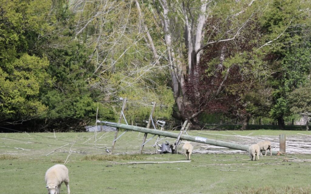 Hàng ngàn hộ dân Southland, Otago vẫn mất điện sau bão dữ 1 One week since a wind storm tore through the country's south, some Clutha district farmers say the financial hit could be harsher than they originally feared.