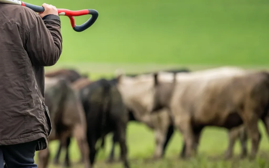 female farmer testing soil on a farm
