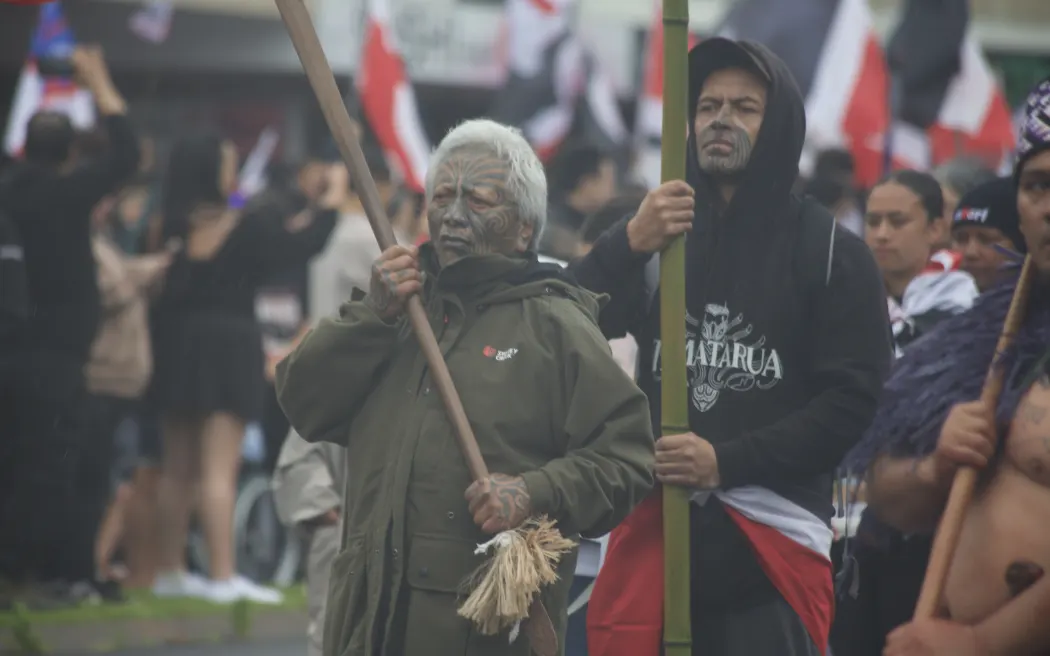 Tāme Iti joins hīkoi in Rotorua.