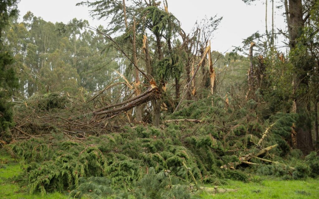 Nông dân Clutha tiên phong hỗ trợ các gia đình vùng nông thôn chịu ảnh hưởng nặng nề sau bão 1 Clutha Valley storm damage