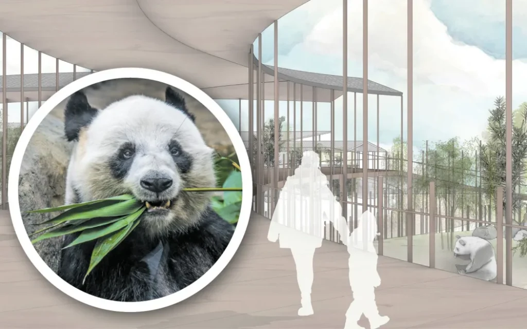 Retired businessman Max Patmoy says he will be re-presenting his vision and request for the use of a portion of the Tōmoana Showgrounds to new Hastings Mayor Wendy Schollum.