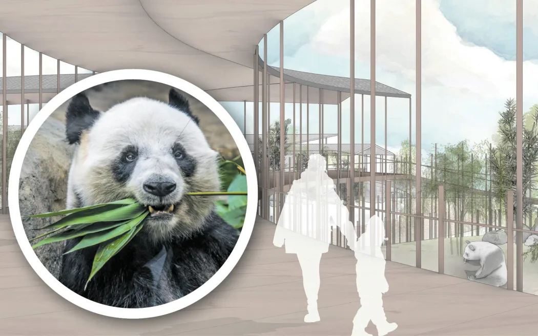 Retired businessman Max Patmoy says he will be re-presenting his vision and request for the use of a portion of the Tōmoana Showgrounds to new Hastings Mayor Wendy Schollum.