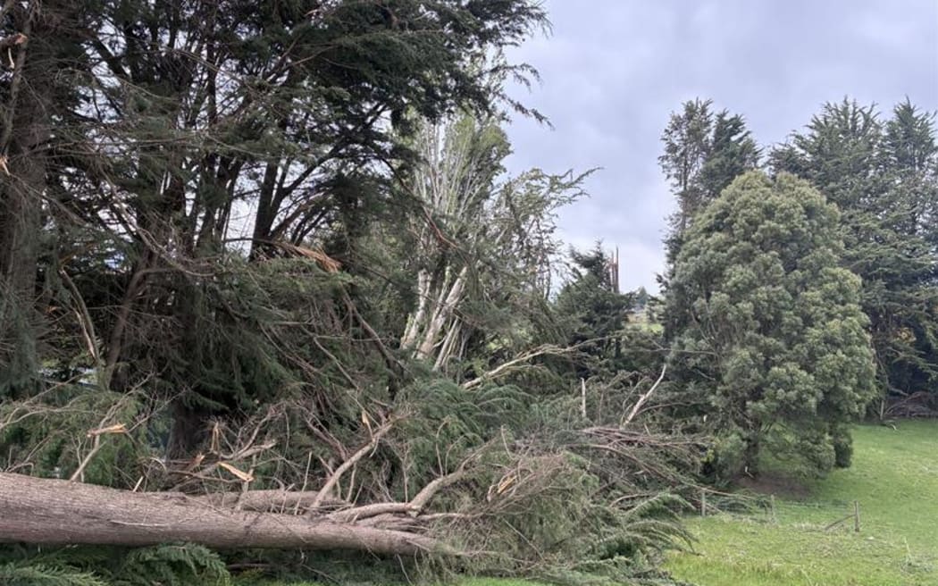 Storm damage in Clutha's rural Kakapuaka,