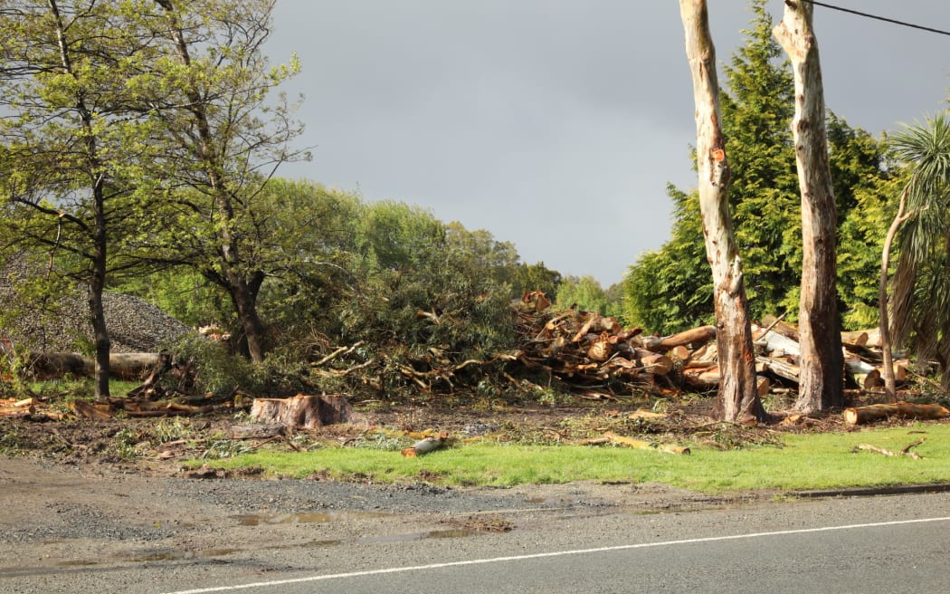 Southland: Tình trạng khẩn cấp chấm dứt, khu vực dồn lực tái thiết sau bão 3 Storm damaged trees storm on East Road, Invercargill, are being felled and cut up, 29 October 2025.