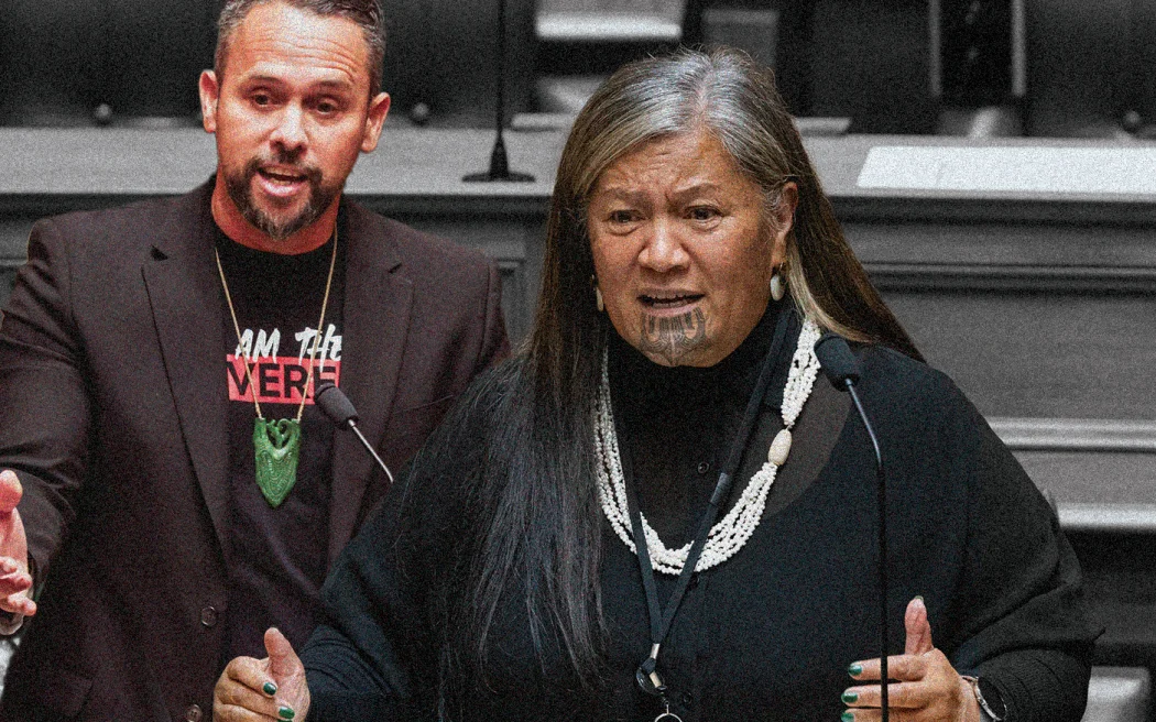 'Rogue' Te Pāti Māori MPs Ferris and Kapa-Kingi expelled from party