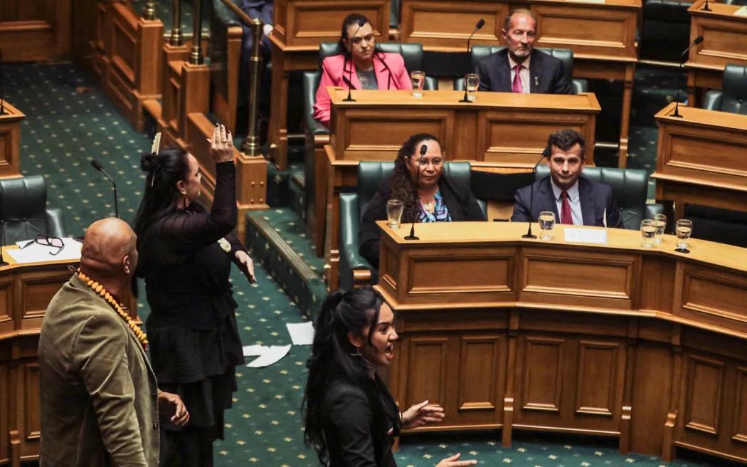 Te Pāti Māori's Hana-Rawhiti Maipi-Clarke interrupted the vote on the Treaty Principles Bill's first reading with a haka taken up by members of the opposition and people in the public gallery.