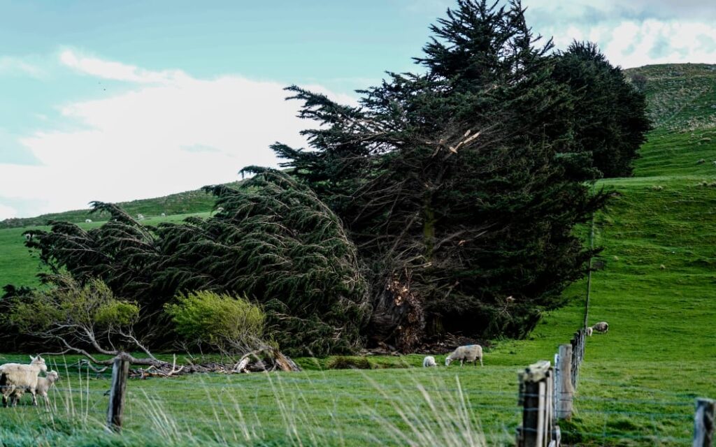 Southland weather damage