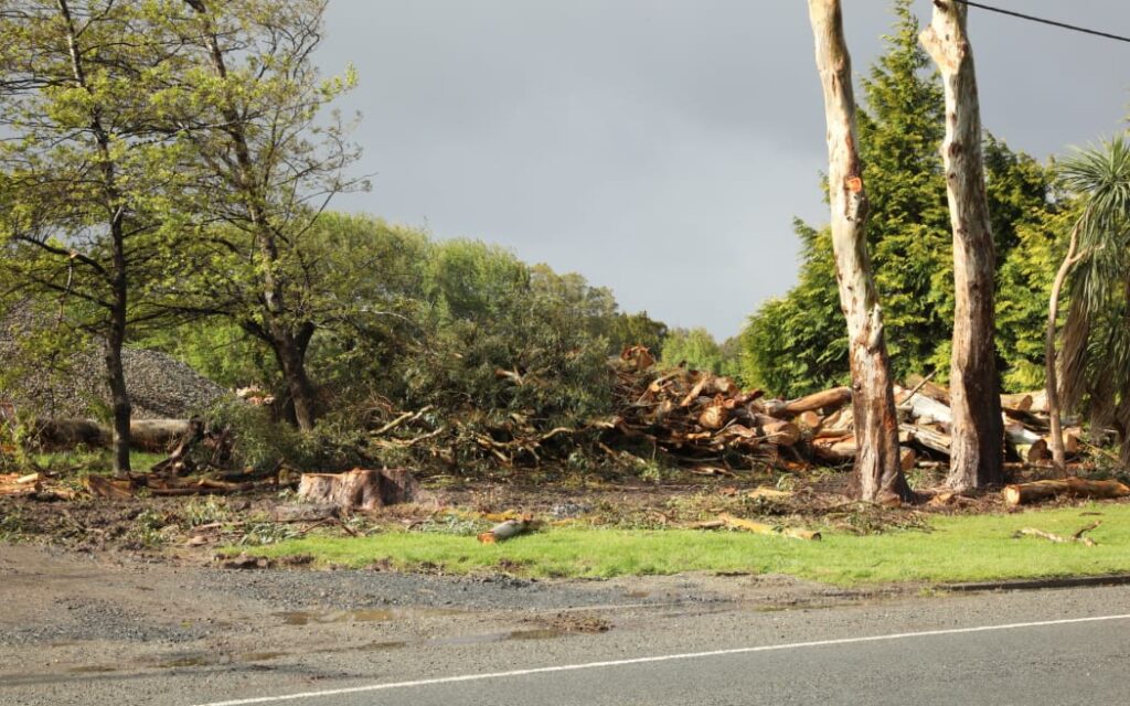 Storm damaged trees storm on East Road, Invercargill, are being felled and cut up, 29 October 2025.