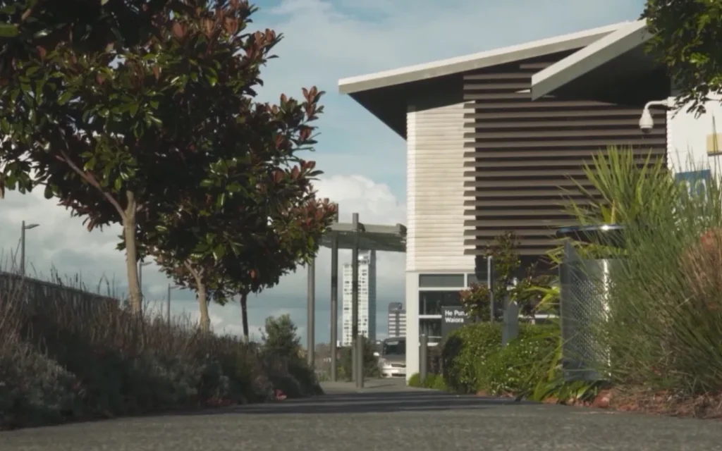 Nhân viên y tế tâm thần bị siết cổ: Y tế New Zealand bác bỏ cáo buộc thiếu hụt nhân sự 1 No caption